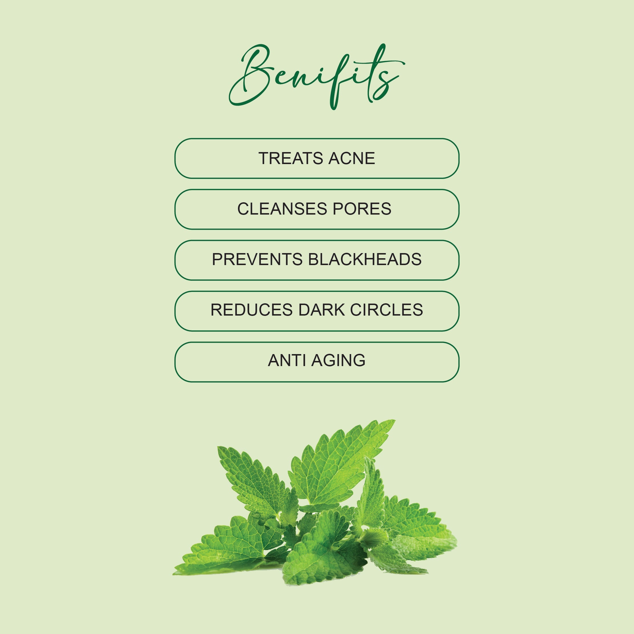 MINT & NEEM -Face and Body Scrub